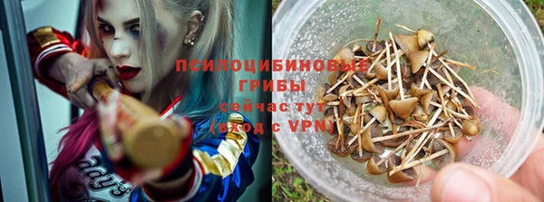 герыч Алексин