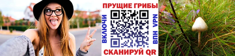 Галлюциногенные грибы ЛСД Одинцово