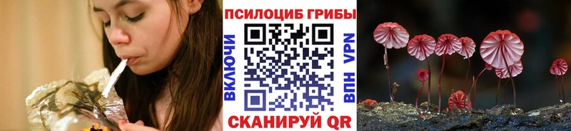 Псилоцибиновые грибы Cubensis Одинцово