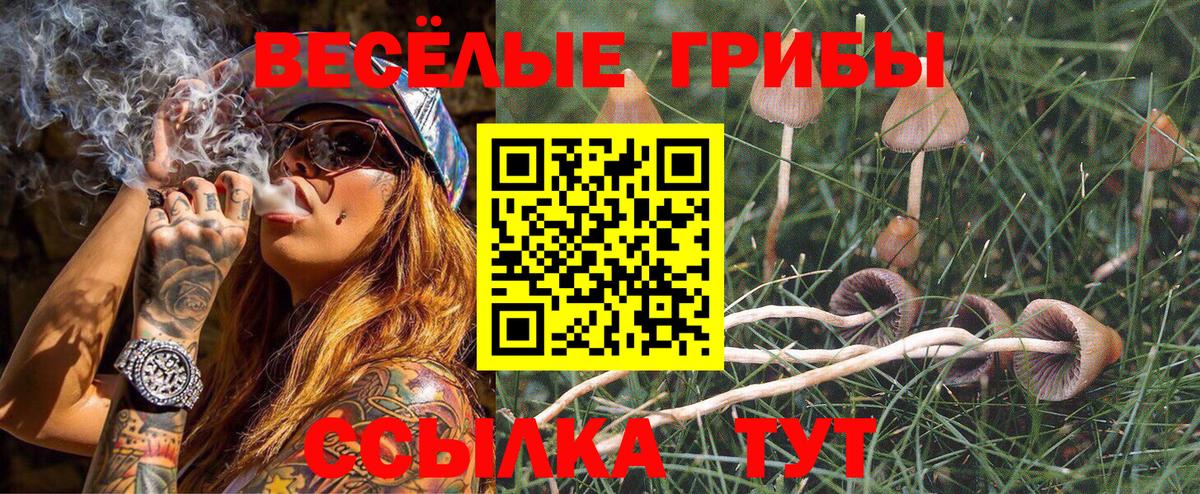 Одинцово  Псилоцибиновые грибы Psilocybe  где купить наркотик  Вход с VPN 